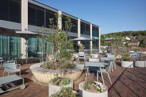 Vorschaubild 240430_Winterthur_Swica-Elefant_1159_A5.jpg