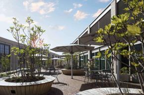 Vorschaubild 240430_Winterthur_Swica-Elefant_1186-2_A5.jpg