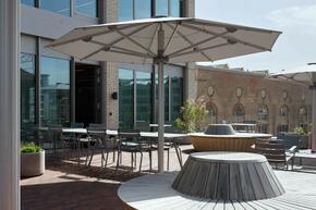 Vorschaubild 240430_Winterthur_Swica-Elefant_1219_A5.jpg