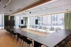 Vorschaubild 240518_Winterthur_Swica-Elefant_1389_A5.jpg