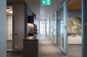 Vorschaubild 240518_Winterthur_Swica-Elefant_1495_A5.jpg