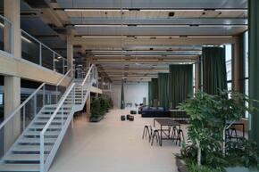 Vorschaubild 240524_Winterthur_Swica-Elefant_1801-2_A5.jpg