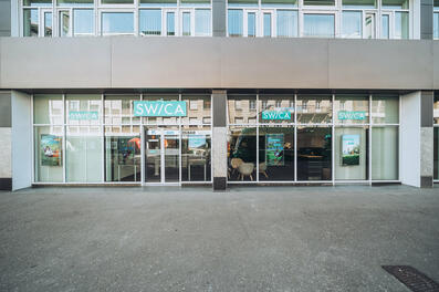 Vorschaubild DSC03543.jpg