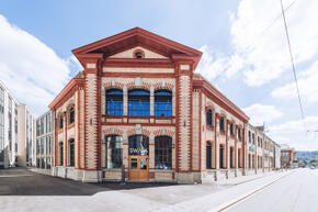 Vorschaubild Winterthur_Swica-Elefant_Referenz_projekte und planung (13).jpg