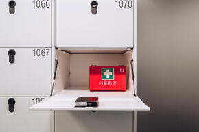 Vorschaubild Winterthur_Swica-Elefant_Referenz_projekte und planung (27).jpg