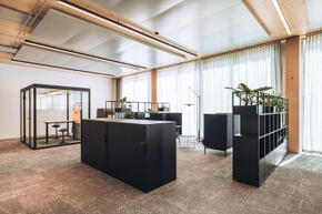 Vorschaubild Winterthur_Swica-Elefant_Referenz_projekte und planung (41).jpg