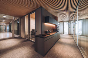 Vorschaubild Winterthur_Swica-Elefant_Referenz_projekte und planung (5).jpg