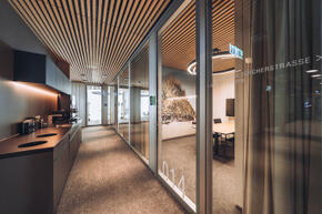 Vorschaubild Winterthur_Swica-Elefant_Referenz_projekte und planung (6).jpg