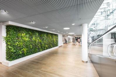 Vorschaubild coop rhymarkt 06