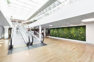 Vorschaubild coop rhymarkt 07