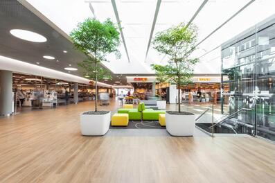 Vorschaubild coop rhymarkt 08