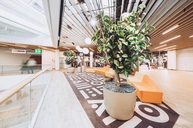 Vorschaubild coop volkiland 03