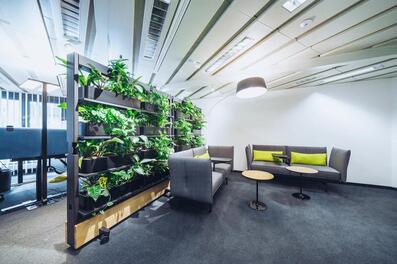 Vorschaubild dsc03953