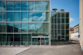 Vorschaubild 240716 winterthur swica elefant 1395 8c a5